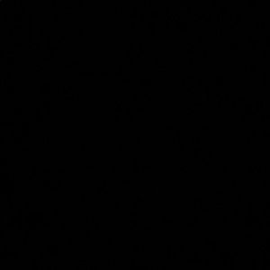 Meet your Posher, Helen